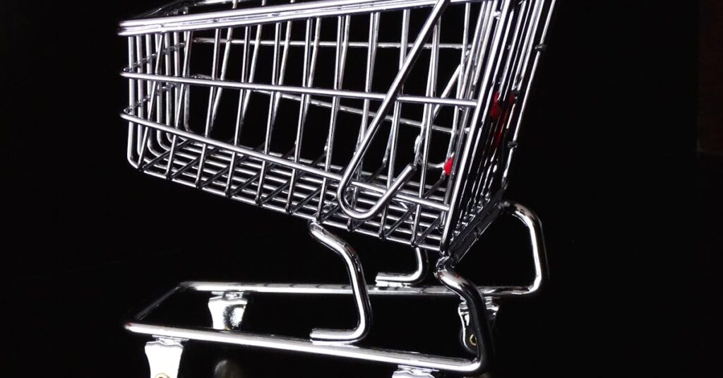 Crear un Negocio Rentable con Dropshipping